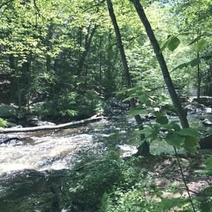 Meet your Posher, Justin